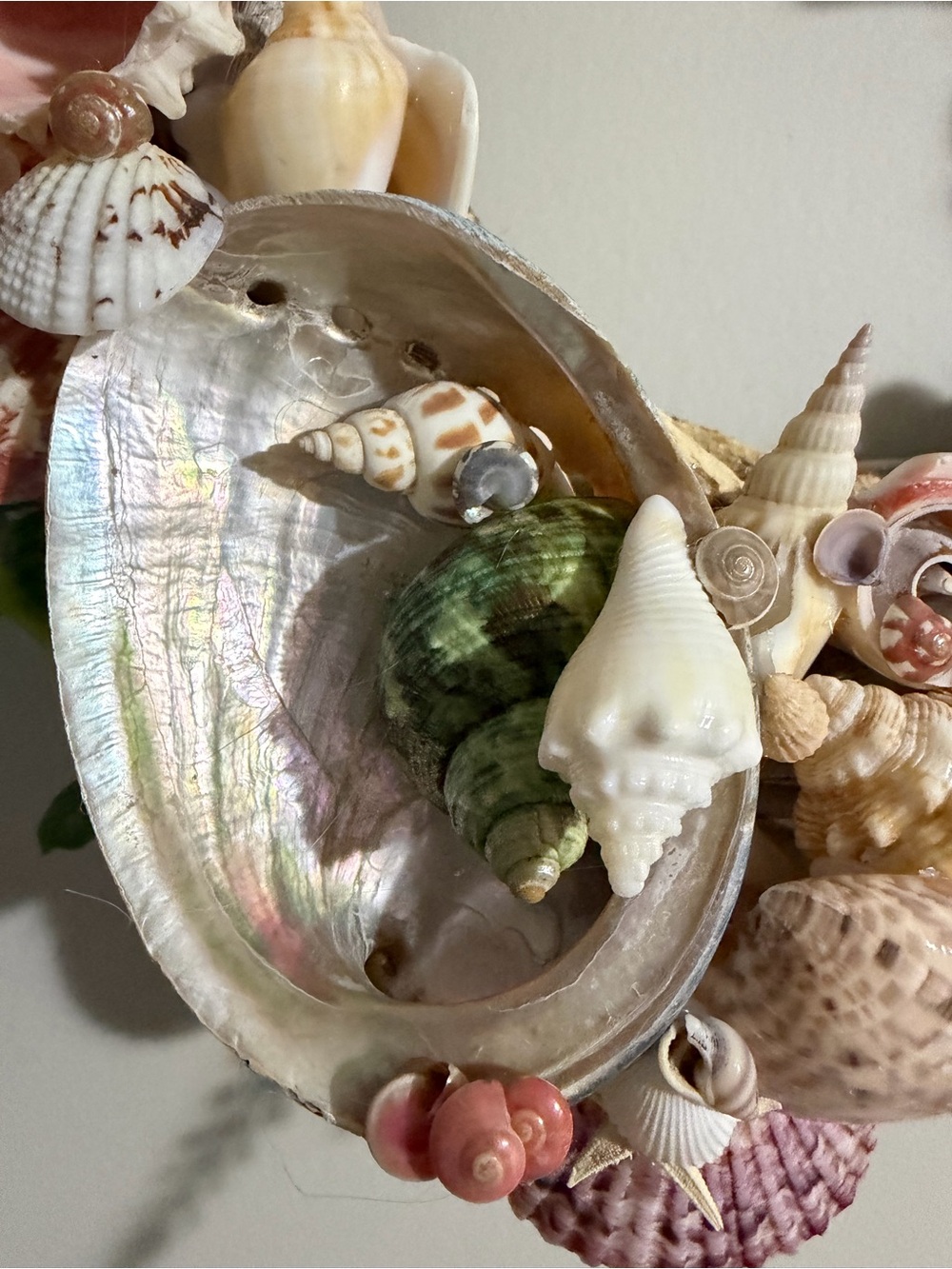 SeaShell Wreath | Coastal Decor | Beach Cottage | Handcrafted - Picture 3 of 15